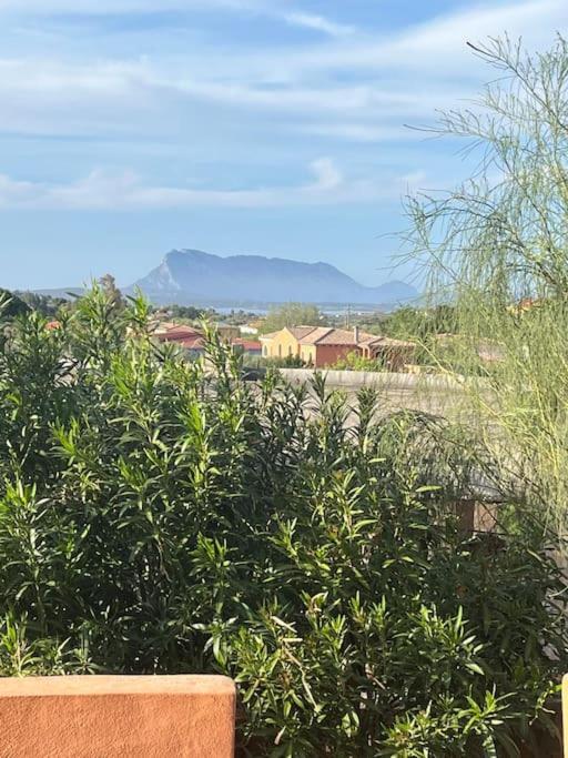 Apartment Prestige San Teodoro Straula *